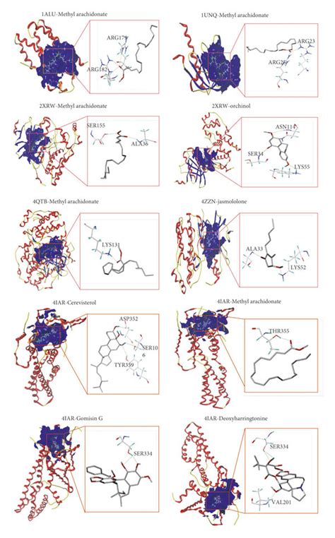 Molecular Docking Patterns Of Major Ingredients And Key Gene Targets Of