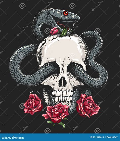 Human Skull With Snake And Roses Stock Illustration Illustration Of