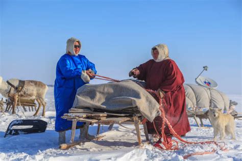 90+ Saami Russia Stock Photos, Pictures & Royalty-Free Images - iStock