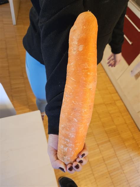 Of A Carrot I Found Last Week Rabsoluteunits