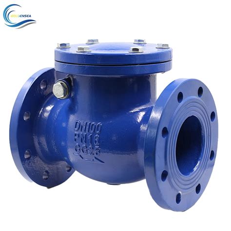 Professional Manufacture Dn100 Pn16 Swing Check Valve Cf8 Disc 2inch 12inch Non Return Valve