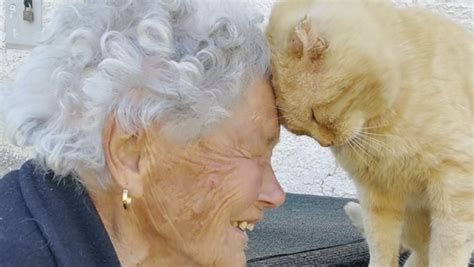 Una Mujer Se Reencuentra Con Su Gato Tras Desaparecer Durante Un