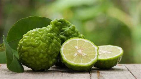 Bergamot Essential Oil Benefits Uses And Warnings Everphi