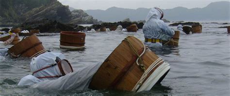 Toba - Japan Nature Network