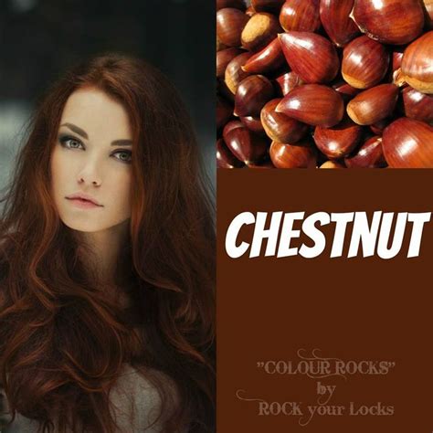 Chestnut Color - Effy Moom