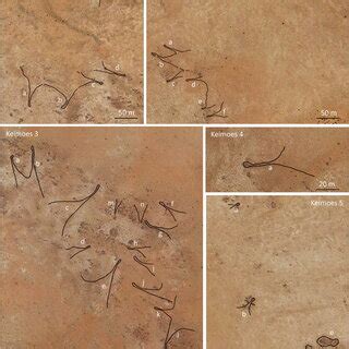 Elevation map/s of the Keimoes kite sites and landscape (scale applies ...