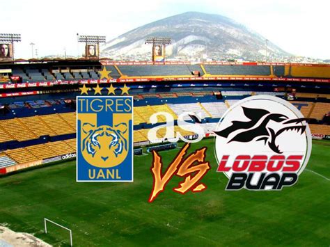 Introducir Imagen Tigres Vs Lobos Online Abzlocal Mx