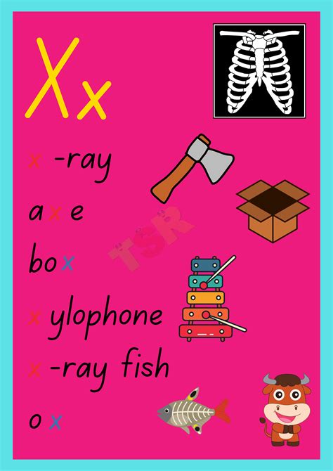 Words That Start With X For Preschool