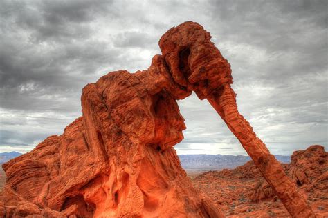 Elephant Rock Valley Of Fire State Park Photograph By Daniel Coulter Fine Art America