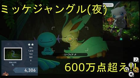 Newポケモンスナップ ミッケジャングル夜ルートスコア6305742点世界25位 Youtube