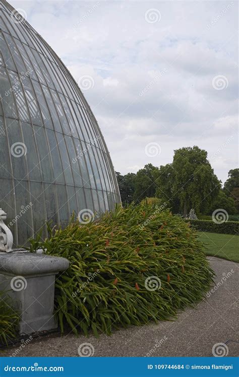 Kew Gardens glasshouse editorial stock image. Image of nature - 109744684