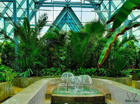 Botanical Garden Astana Wildticket Asia Tourist Service In Kazakhstan