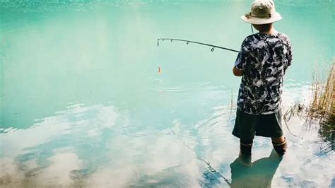 Arti Mimpi Menangkap Ikan Mas Yang Baik Untuk Kehidupan Lifestyle