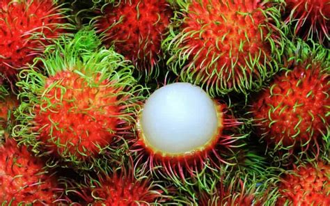 10 Of The Strangest Fruits You'll Ever See