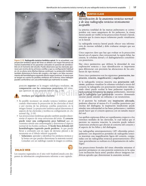 Herring Radiologia Basica Aspectos Fundamentales Pdf