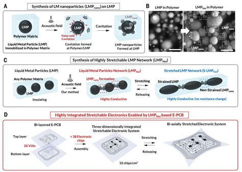 Universal Assembly Of Liquid Metal Particles In Polymers Enables