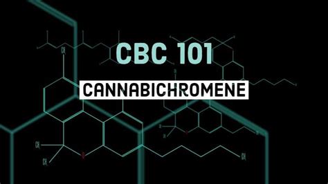 What Is Cannabichromene Cbc Cannabis Tech