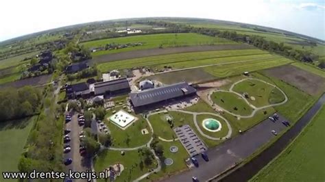 Speel En Ijsboerderij De Drentse Koe Ruinerwold Een Boerderij Vol Plezier