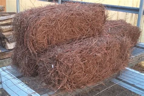 Pine Straw | Smith Brothers Mulch