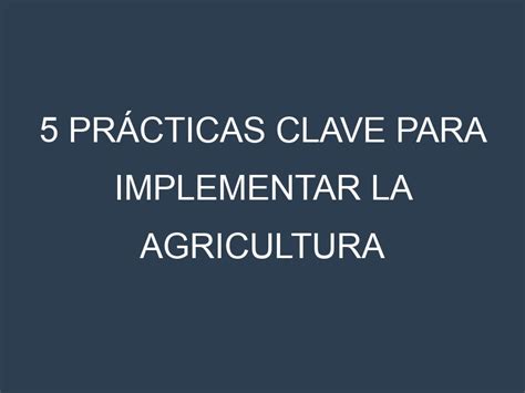 Pr Cticas Clave Para Implementar La Agricultura Regenerativa En Tu