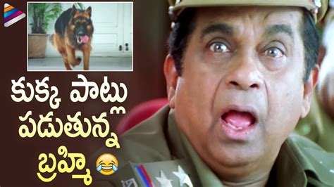 Brahmanandam Hilarious Comedy Scene Ramachari Telugu Movie Scenes