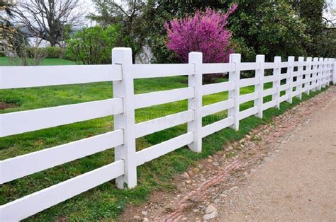 Cerca Branca De Madeira Deer Fence Front Yard Fence Farm Fence Front