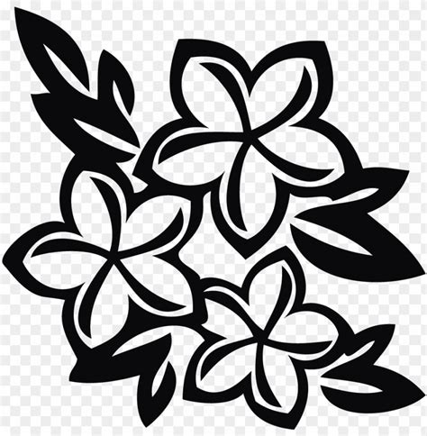 Hawaiian Flowers Clip Art Black And White Plumeria Flower Png