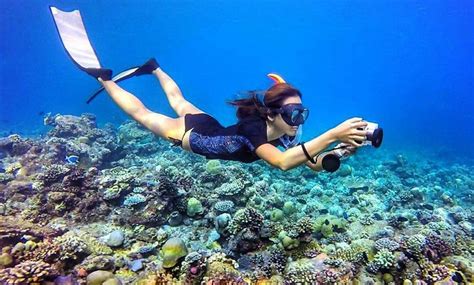 Pin By Mr Nobody On Freediving Waterworld Mermaid Life Blue Life