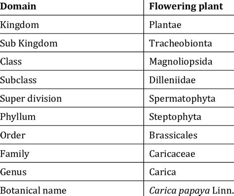 Classification Of Plants Kingdom