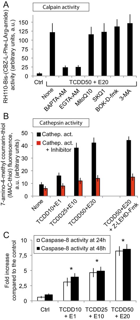 Cathepsin Calpain And Caspase Activation By E Tcdd Or Pollutant