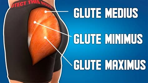 Best Hip Abductor Exercises For Stronger Glutes PREVENT HIP AND KNEE