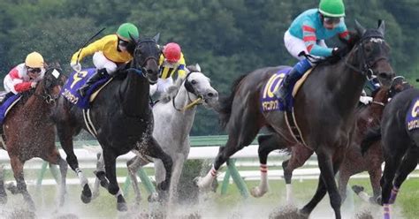 船橋競馬予想0312｜🐴なーすけ🐴