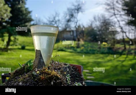 Plastic Rain Gauge Hi Res Stock Photography And Images Alamy