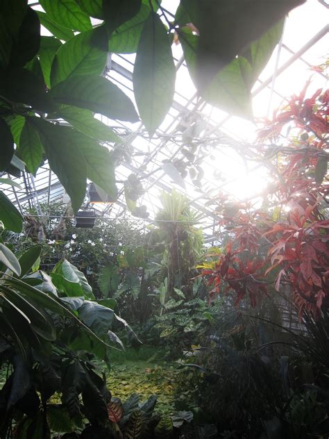 The Gold At The End Of The Rainbow — Botanic Garden Nancy France