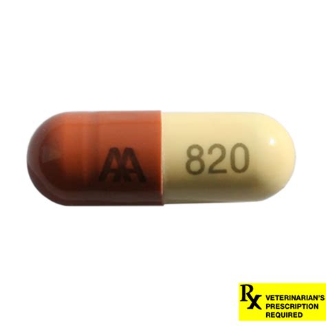 Rx Amoxicillin 250mg X 1 Capsules