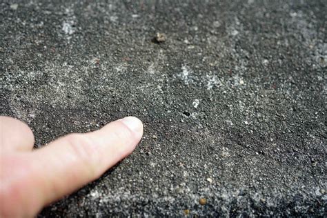 Red Spider Mites On Concrete