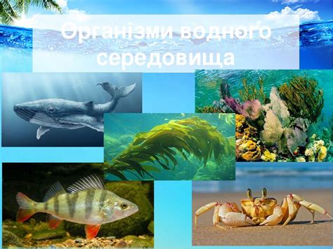 Презентація "Водне середовище життя. Пристосування організмів до життя ...
