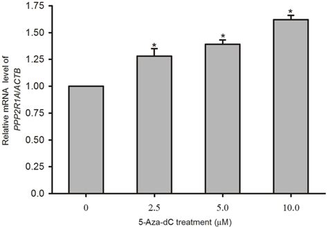 Treatment With 5 Aza Dc Upregulates The Transcription Of Ppp2r1a In L02 Download Scientific