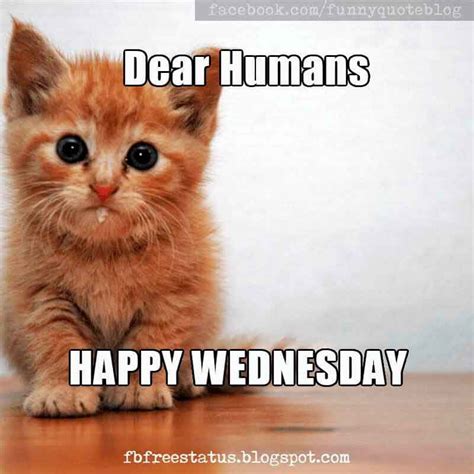 Its Wednesday Funny And Happy Wednesday Meme With Wednesday Quotes