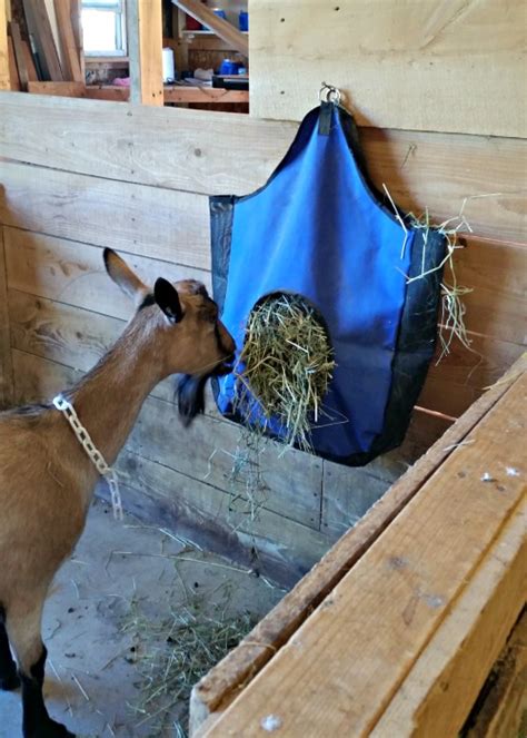 Hay Feeder Options For Goats | Simple Living Country Gal