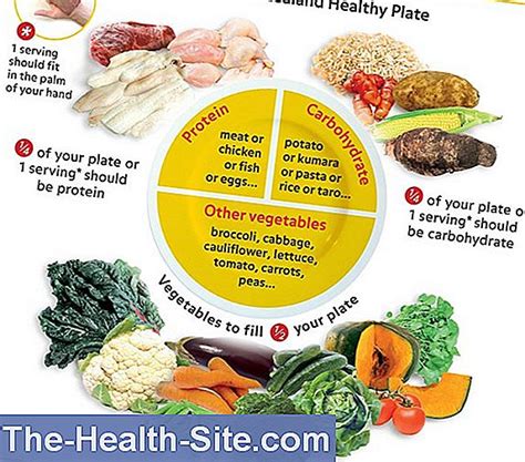 Diabetic By Fat Food 💊 Scientific Practical Medical Journal 2023