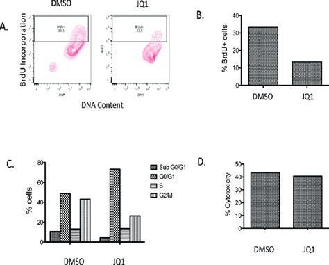 Analysis Of Brdu Incorporation Cell Viability And Ldh Activity In A