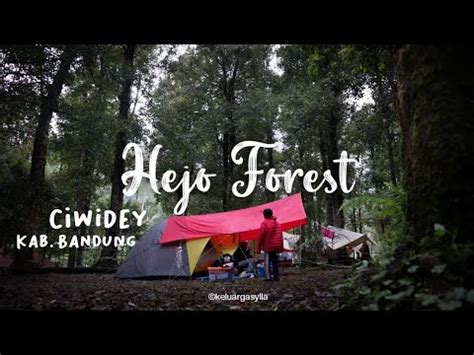 Hejo Forest Ciwidey Camping Keluarga YouTube