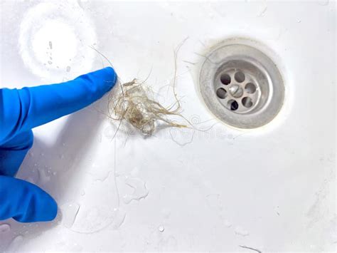 Removing Hair Clog from a Bathroom Sink Drain. Gloved Hand Extracting ...