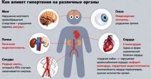 Коэффициент атерогенности: что это значит, индекс, формула расчета
