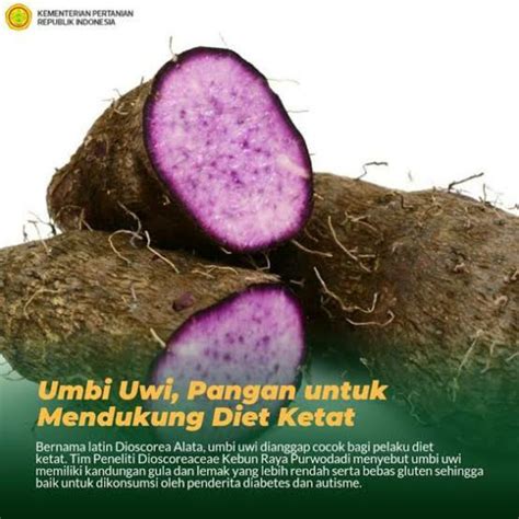 Jual Umbi Uwi Putih Umbi Uwi Ungu Per Kg Shopee Indonesia