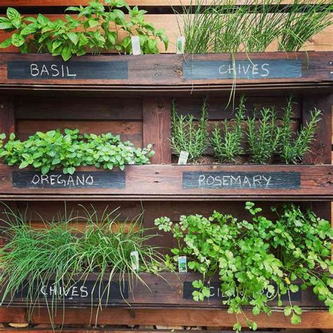 Space Saving Hanging Herb Garden Ideas