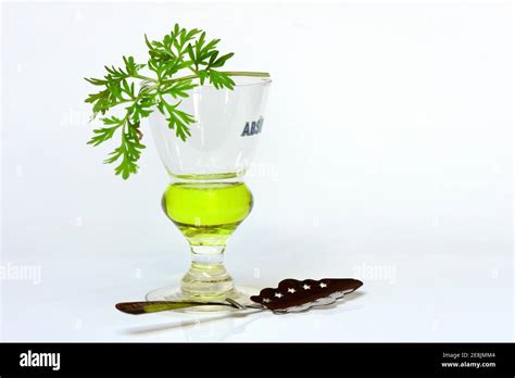 Glass Of Absinthe With Wormwood And Absinthe Spoon Stock Photo Alamy