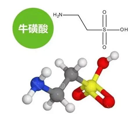 Science 重磅牛磺酸或可延缓衰老延长寿命 澎湃号媒体 澎湃新闻 The Paper