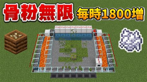 【骨粉無限】入れたら3倍に増えるこけ骨粉∞製造機【毎分30個】 マイクラ統合版11741bedrock Win10pe